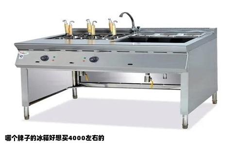 哪个牌子的冰箱好想买4000左右的