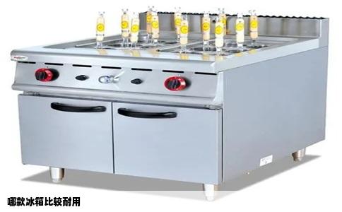 哪款冰箱比较耐用