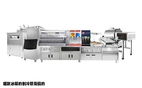 哪款冰箱的制冷管是铜的