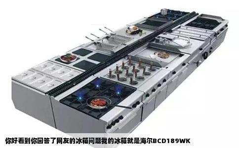 你好看到你回答了网友的冰箱问题我的冰箱就是海尔BCD189WK