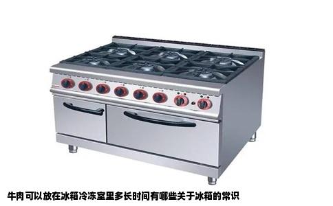 牛肉可以放在冰箱冷冻室里多长时间有哪些关于冰箱的常识