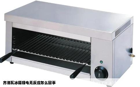 齐洛瓦冰箱插电无反应怎么回事