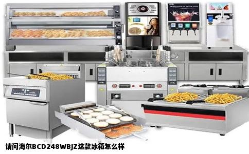 请问海尔BCD248WBJZ这款冰箱怎么样