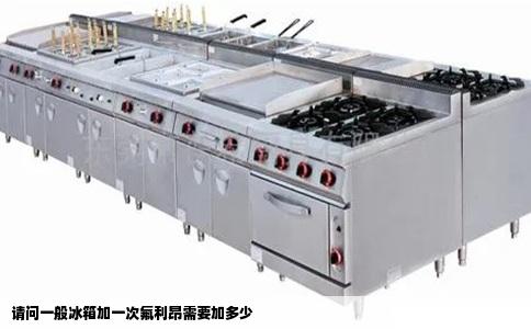 请问一般冰箱加一次氟利昂需要加多少
