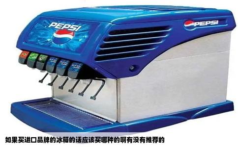 如果买进口品牌的冰箱的话应该买哪种的啊有没有推荐的