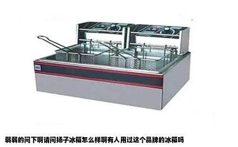 弱弱的问下啊请问扬子冰箱怎么样啊有人用过这个品牌的冰箱吗