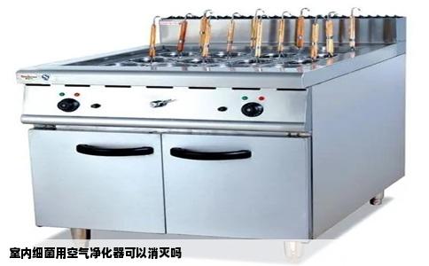 室内细菌用空气净化器可以消灭吗