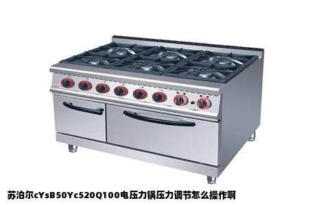 苏泊尔cYsB50Yc520Q100电压力锅压力调节怎么操作啊