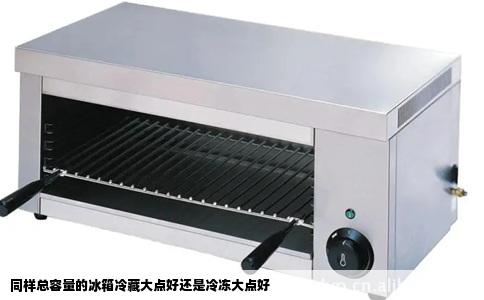 同样总容量的冰箱冷藏大点好还是冷冻大点好