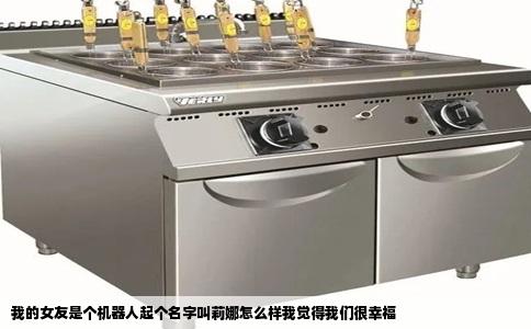 我的女友是个机器人起个名字叫莉娜怎么样我觉得我们很幸福