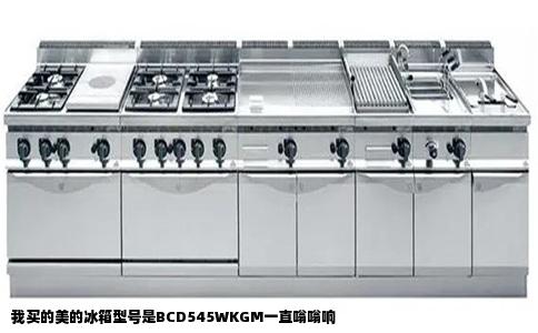 我买的美的冰箱型号是BCD545WKGM一直嗡嗡响