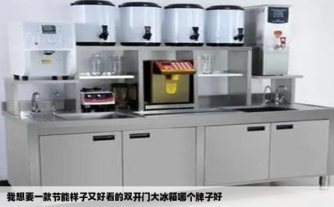 我想要一款节能样子又好看的双开门大冰箱哪个牌子好