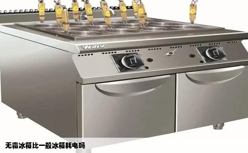 无霜冰箱比一般冰箱耗电吗