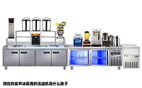 现在的容声冰箱用的压缩机是什么牌子