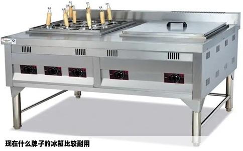 现在什么牌子的冰箱比较耐用