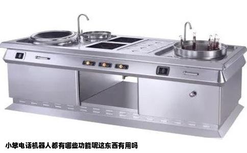 小笨电话机器人都有哪些功能呢这东西有用吗