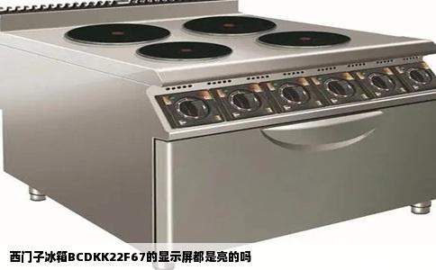 西门子冰箱BCDKK22F67的显示屏都是亮的吗