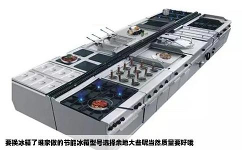 要换冰箱了谁家做的节能冰箱型号选择余地大些呢当然质量要好哦
