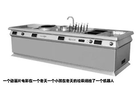 一个动画片电影在一个冬天一个小孩在冬天的垃圾场捡了一个机器人