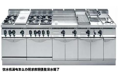 饮水机漏电怎么办啊求救啊偶我没水喝了