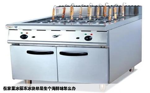 在家里冰箱冻冰块总是生个海鲜味怎么办