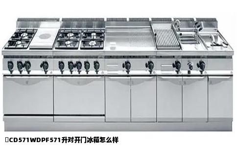 鸅CD571WDPF571升对开门冰箱怎么样